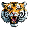 Tiger Head