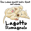 Lagotto Life 1 2