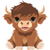 Cute baby highland cow