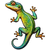 Gecko Lizard