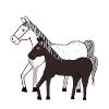 Cheval Cheval Poney