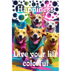 Glad hundegjeng elsker det fargerike livet Holi