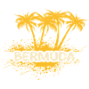 Party Bermuda