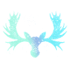 Elk