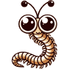 Centipede