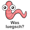 What is Luegsch?