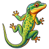 Eidechsen-Gecko