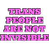 Trans people are not invisible