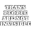 Trans people are not invisible