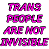 Trans people are not invisible