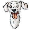 Jack Russell