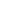 Bailiff Crazy Bailiff