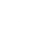 Bison Bison Floral Pattern