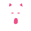 Chien Samoyède Samoyède