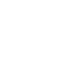 Pirate Skull