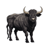 Bull Animal