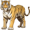 Tiger Tier