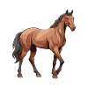 Horse Animal