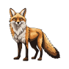 Fox Animal