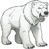 Polar Bear Animal