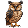 Owl Animal
