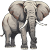 Elefant Tier
