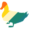 Canards
