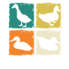 Ducks