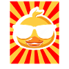 Ducks