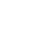 Cow Highland Cattle Cows
