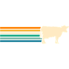 Vache Highland Bovins Vaches