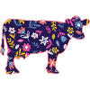 Cow Highland Cattle Cows