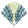 Feather Fan