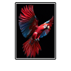 Parrot Parrot Parrot