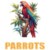 Parrot Parrot Parrot