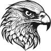 Detailed Eagle Head Illustration