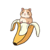 Funny Guinea Pig In Banana