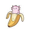 Funny Axolotl In Banana