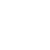 Bernedoodle Berner Mountain Poo