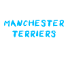 Manchester Terrier