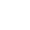 Mudi