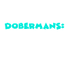Doberman Dobermann
