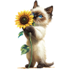 Siamese