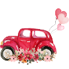 Bride-to-be car floral bride
