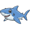 Animal Cartoon Shark