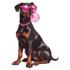 Doberman