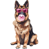 Deutscher Schäferhund