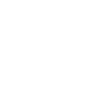 Raven on skull