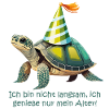 Party turtle: Enjoy my age!
