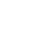 Raven Full Moon Skull